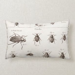 Coussin Rectangle Illustration vintage de scarabées d'insectes