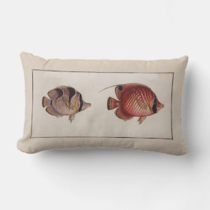 Coussin Rectangle Illustration vintage Poisson Papillon