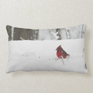 Coussin Rectangle Image cardinale de neige d'hiver d'oiseau
