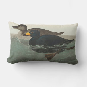 Coussin Rectangle Impression de Macreuse noire d'Audubon : Canard cô