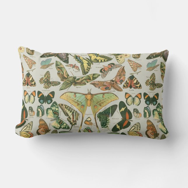 Coussin Rectangle Impression de motif de papillon de nuit vintage (Recto)
