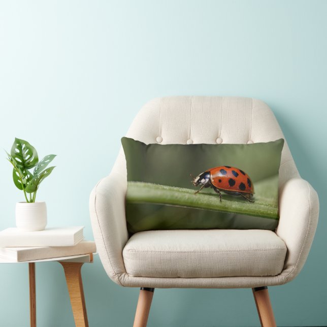 Coussin Rectangle Insecte de Ladybug (Chaise)