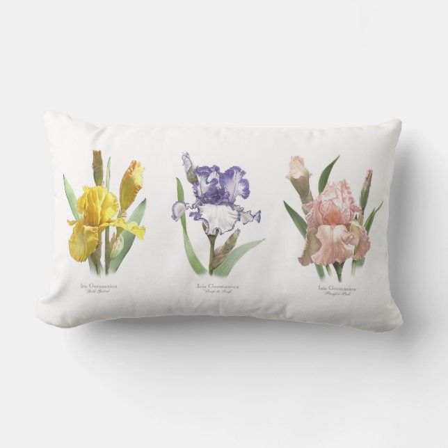 Coussin Rectangle Jardin Flower Iris (Recto)