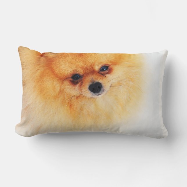 Coussin Rectangle Je suis ici ! (Recto)