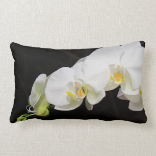 Coussin Rectangle Jet des orchidées blanches