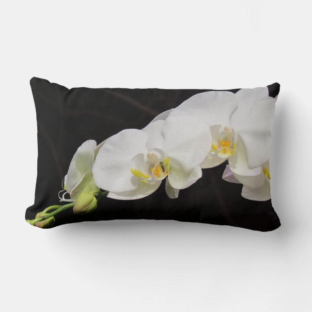 Coussin Rectangle Jet des orchidées blanches (Recto)