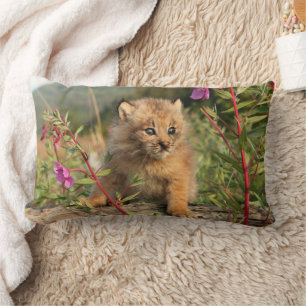 Coussin Rectangle Jeune Lynx du Canada, Alaska