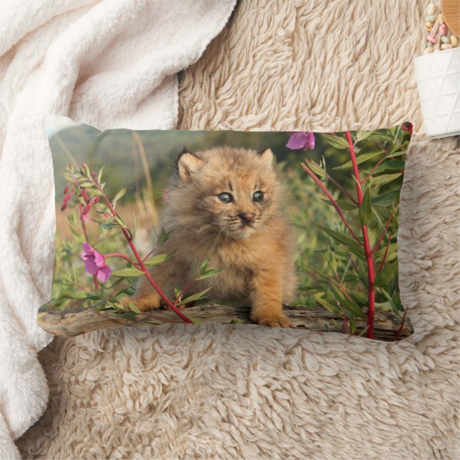 Coussin Rectangle Jeune Lynx du Canada, Alaska (Couverture)