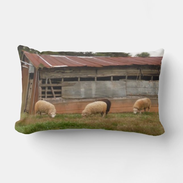 Coussin Rectangle Jeune mouton blanc sur la ferme Photo Sandy Closs (Recto)