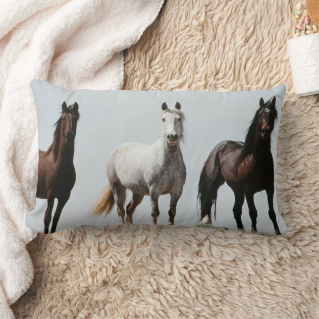 Coussin Rectangle Jeunes étalons sauvages (Couverture)