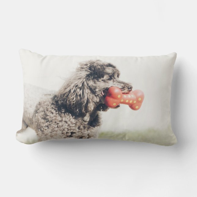 Coussin Rectangle Joli chien de caniche visage de jouet os (Recto)