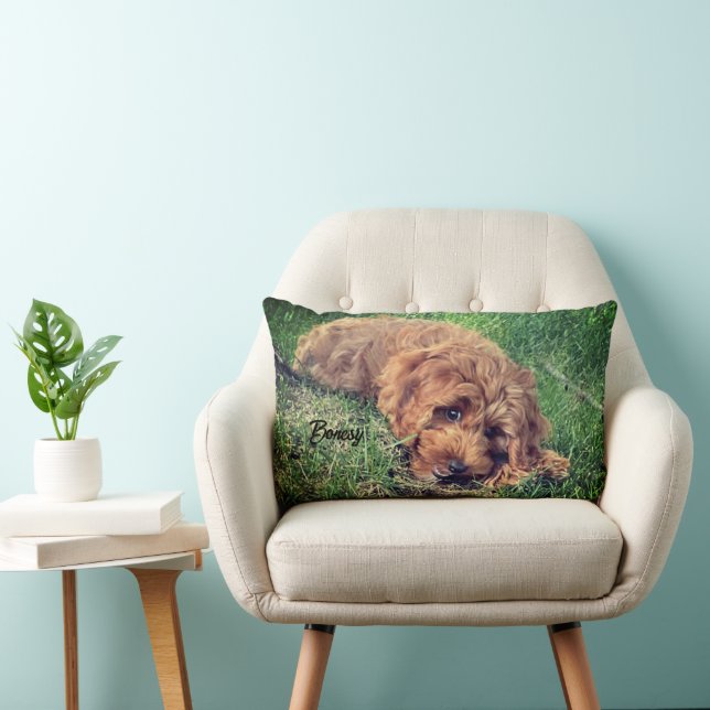 Coussin Rectangle Joli Golden Doodle (Chaise)