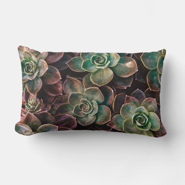 Coussin Rectangle Joli #Succulent Plantes (Recto)