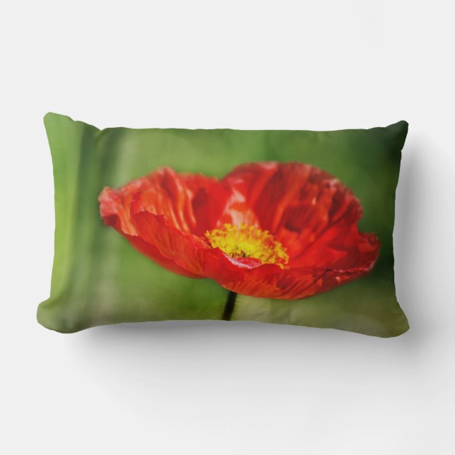 Coussin Rectangle Jolie fleur de pavot rouge (Recto)