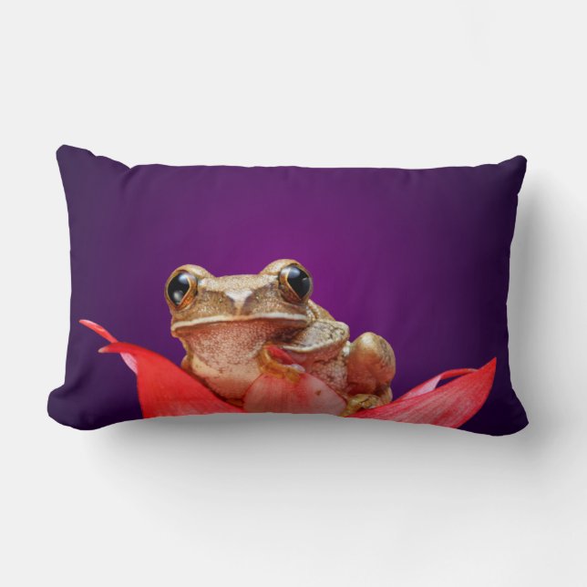Coussin Rectangle Jolie petite grenouille marbrée brune pourpre prof (Recto)