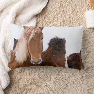 Coussin Rectangle Jolis chevaux islandais ensemble