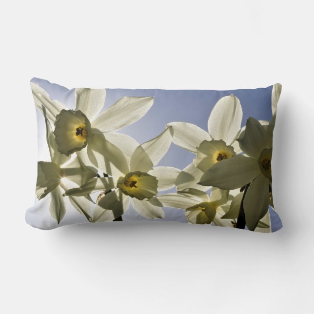 Coussin Rectangle Jonquilles qui fleurissent avec un ciel bleu print (Recto)