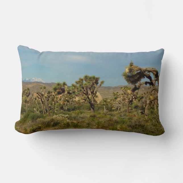 Coussin Rectangle Joshua Tree National Park Paysage du désert (Recto)