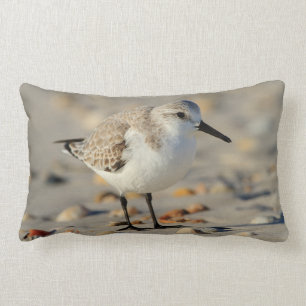 Coussin Rectangle Joueur de pipeau et coquillages de sable
