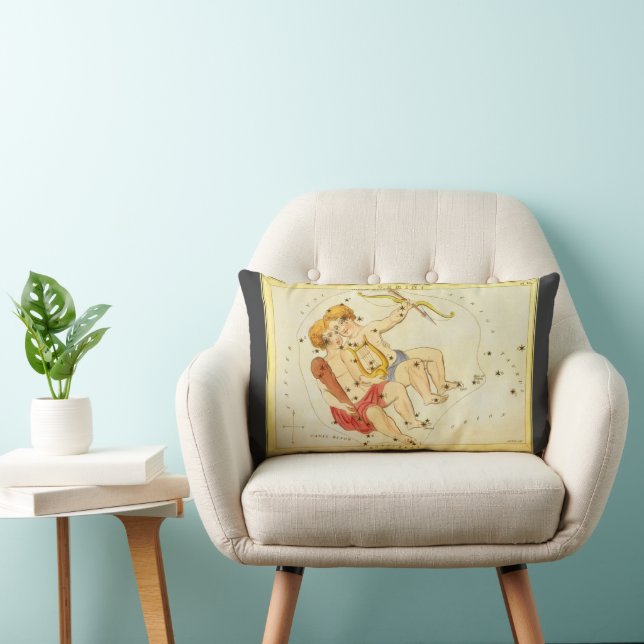 Coussin Rectangle Jumeaux de la constellation vintage Gemini Miroir  (Chaise)