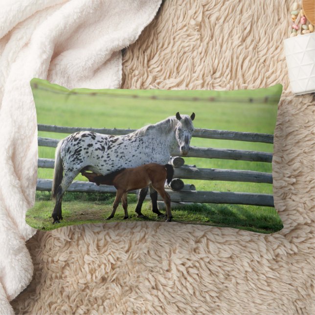 Coussin Rectangle Jument Appaloosa et poulain (Couverture)