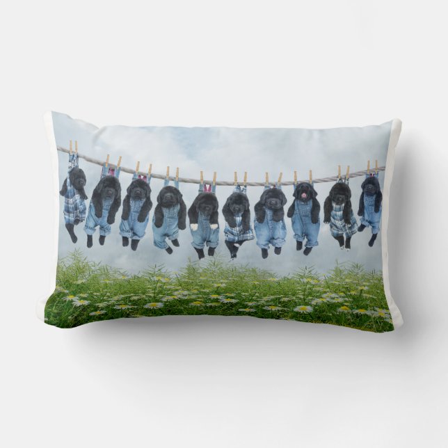 Coussin Rectangle Juste accrochant autour du carreau (Recto)