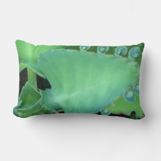 Coussin Rectangle Kalanchoe