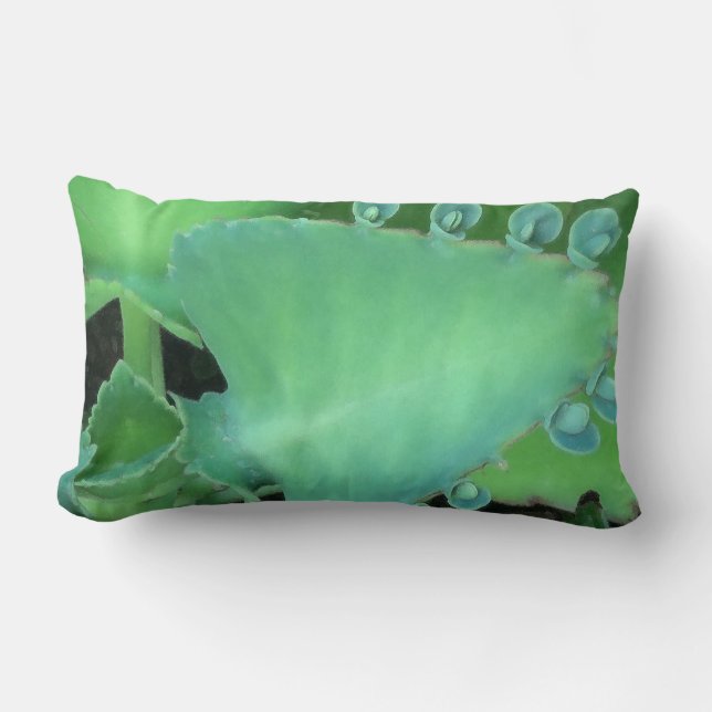Coussin Rectangle Kalanchoe (Recto)