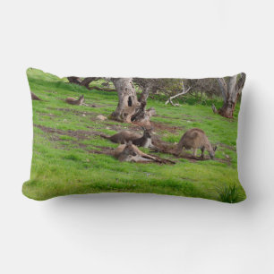 Coussin Rectangle Kangaroo Siesta, Lumbar Cushion.