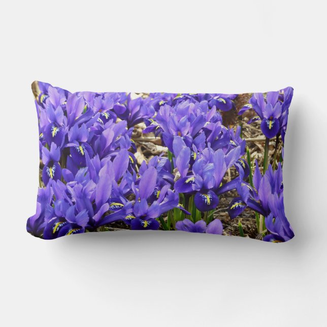 Coussin Rectangle Katherine Hodgkin Irises Printemps Violet Floral (Recto)