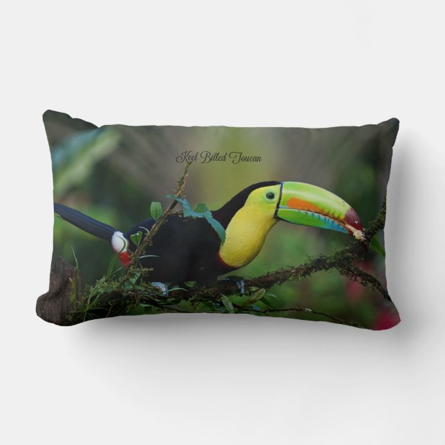 Coussin Rectangle Keel Facturé Toucan Bird (Recto)