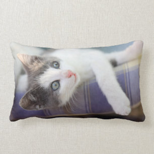 Coussin Rectangle Kitty doux dans le lit de plaid