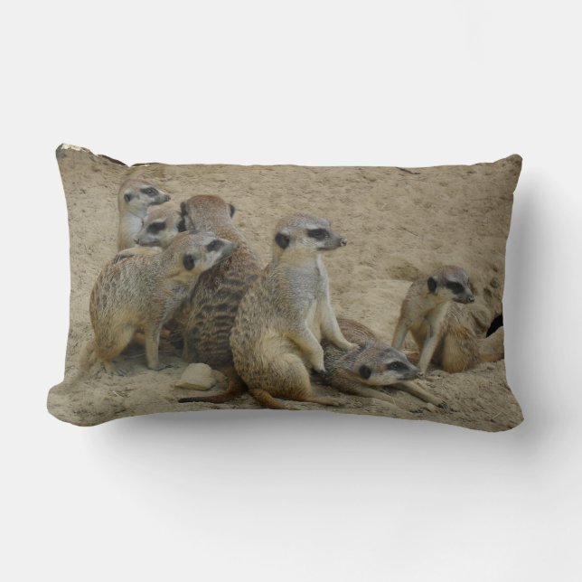 Coussin Rectangle La Famille des Terriens (Recto)