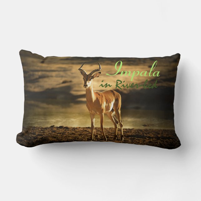 Coussin Rectangle La faune africaine Impala dans le lit de la rivièr (Recto)