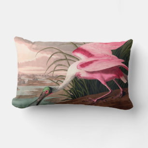 Coussin Rectangle La faune des oiseaux d'Audubon de Spoonbill Roseat