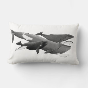 Coussin Rectangle La Nage Des Baleines Illustration Art Whale