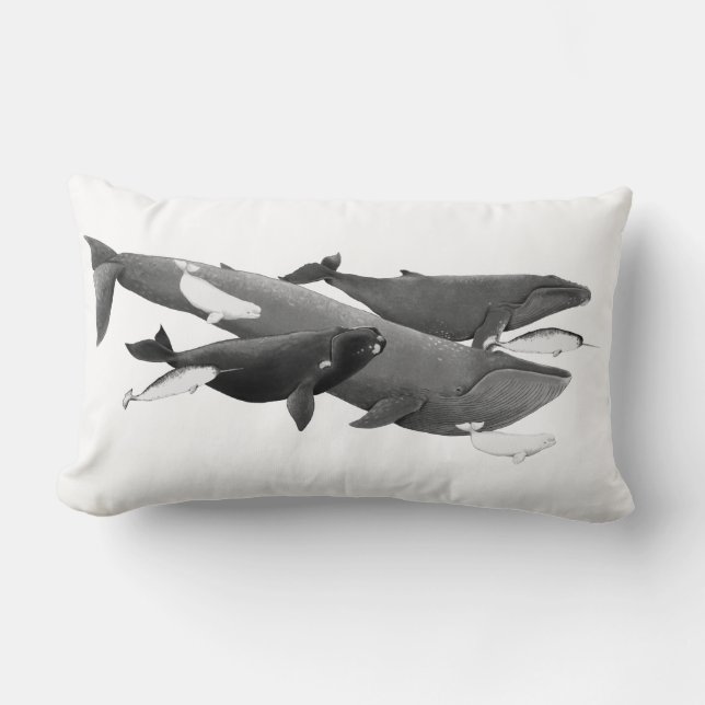 Coussin Rectangle La Nage Des Baleines Illustration Art Whale (Recto)