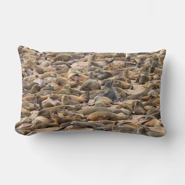 Coussin Rectangle La réserve de phoques de Cape Cross (Recto)