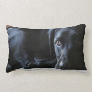Coussin Rectangle Labrador noir