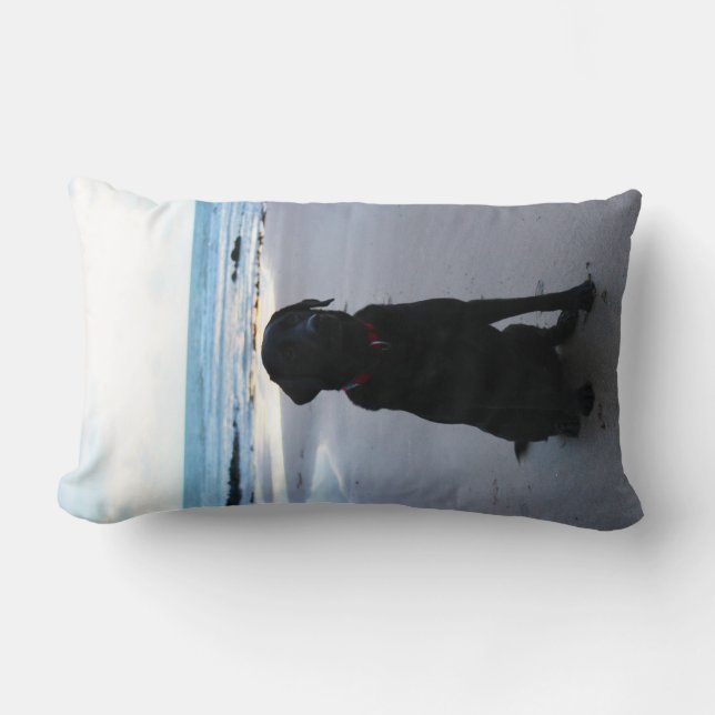 Coussin Rectangle Labrador noir sur une plage (Recto)