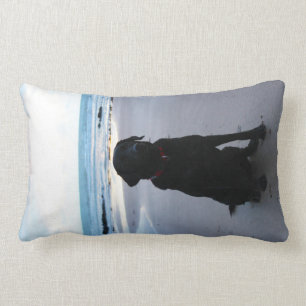 Coussin Rectangle Labrador noir sur une plage