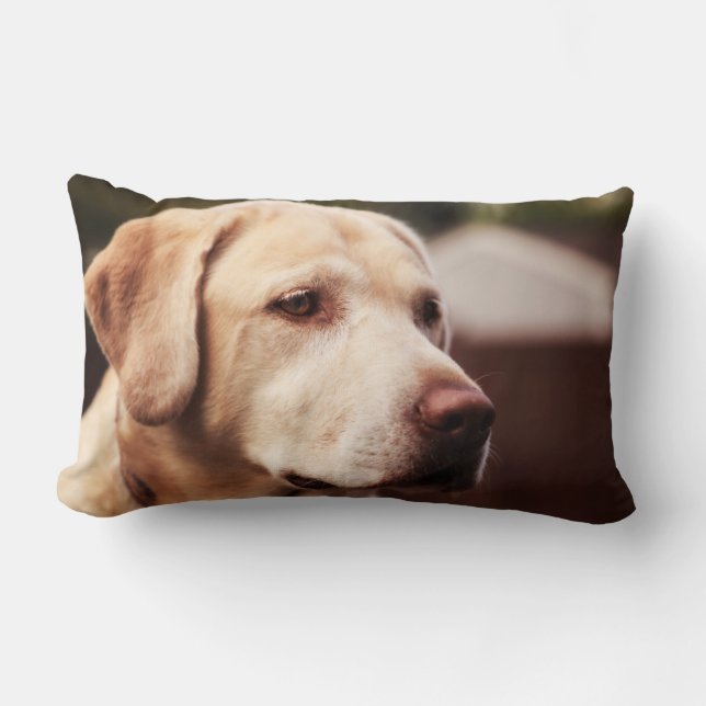 Coussin Rectangle Labrador Retriever (Recto)