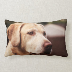 Coussin Rectangle Labrador Retriever