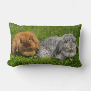 Coussin Rectangle Lapin Lapin Lapin Mini Lop de Lionhead Holland