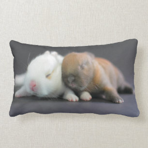 Coussin Rectangle Lapins nains de Netherland
