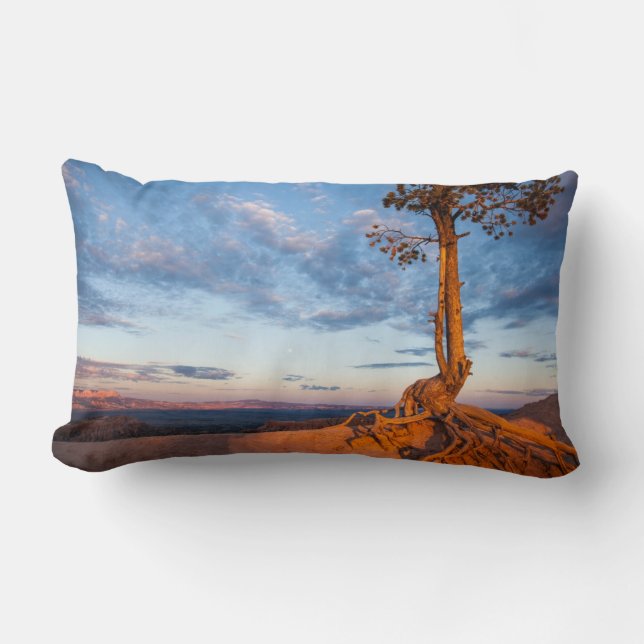 Coussin Rectangle L'arbre s'accroche au rebord, parc national de (Recto)