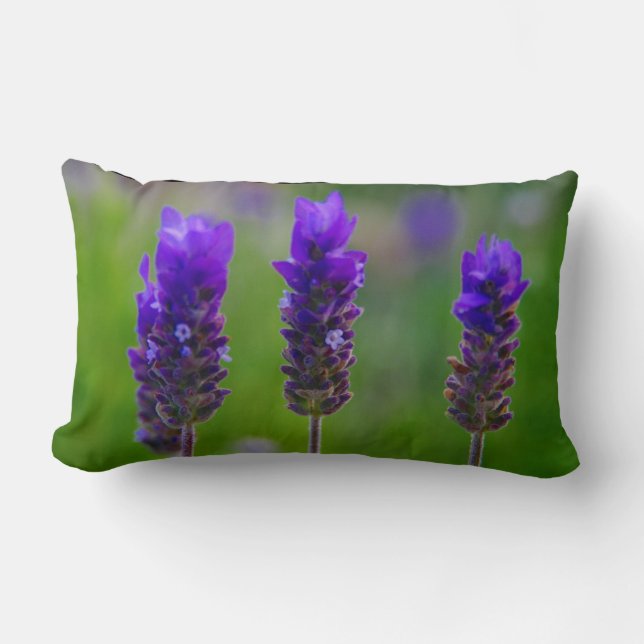 Coussin Rectangle lavande (Recto)