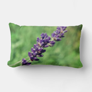 Coussin Rectangle Lavender Stalk Photo Lumbar Cushion