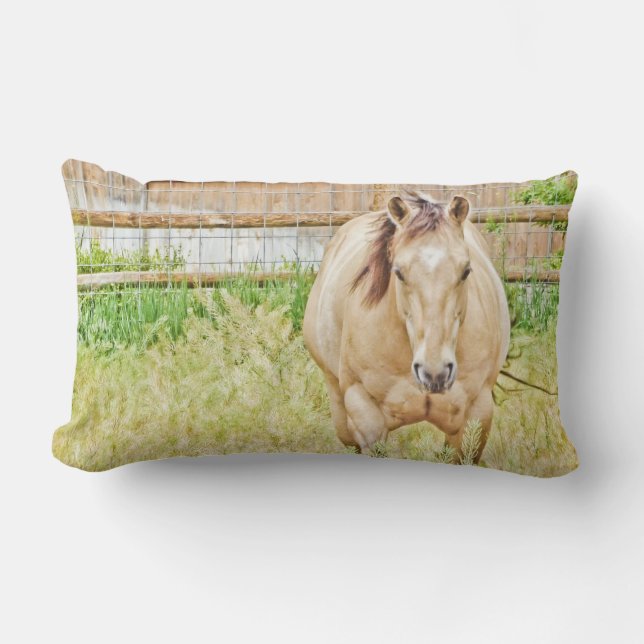 Coussin Rectangle Lazy Morning (Recto)