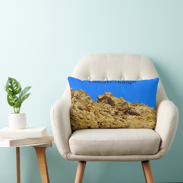 Coussin Rectangle Le changement climatique s'occupe de l'environneme (Chaise)